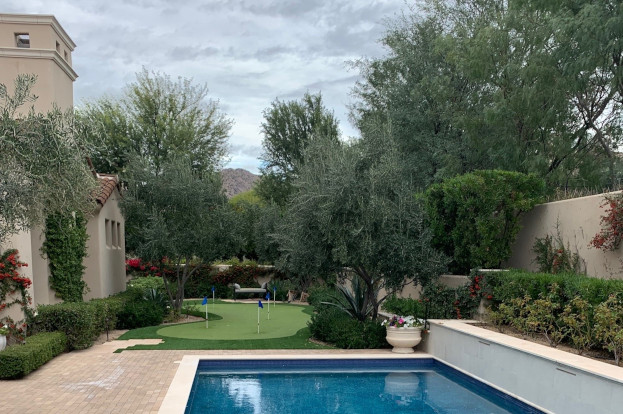 A serene backyard pool surrounded by neatly maintained hedges, mature trees, and decorative potted plants.